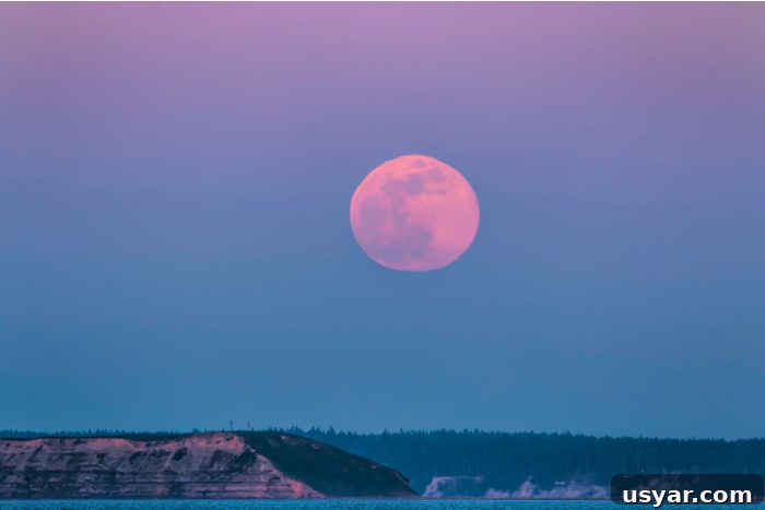 How to See the Pink Supermoon in April 7 Photographing the Super Pink Moon with a camera