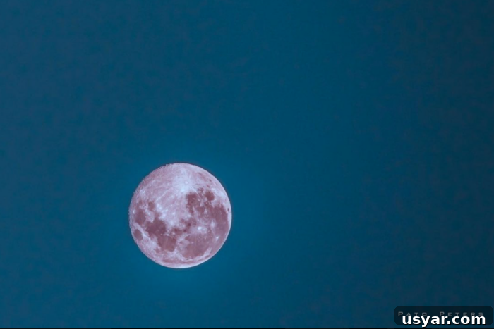 How to See the Pink Supermoon in April 9 Pink Moon rising in the evening sky