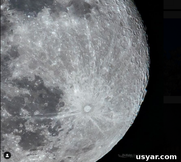 How to See the Pink Supermoon in April 10 Full moon shining over the landscape