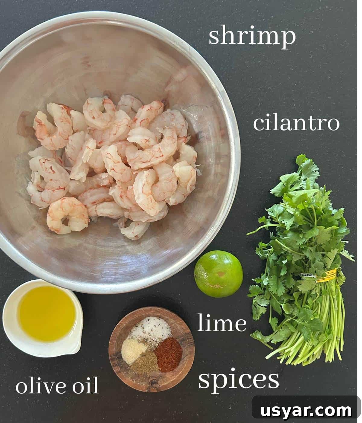 Garlic Butter Shrimp on a Blackstone Griddle 3 Ingredients for shrimp on countertop.