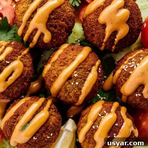 Crispy Air Fryer Falafel Recipe 3 the best Air Fryer Falafel