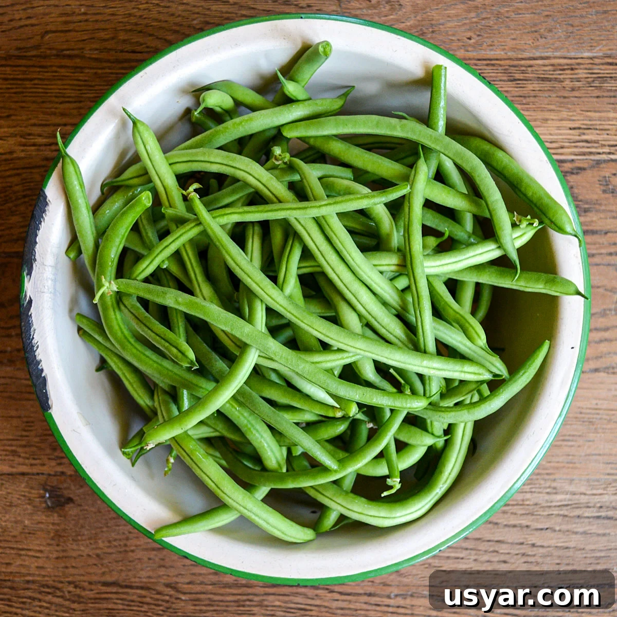 Filet-Style Pole Beans: Why Pole Beans Outperform Bush Types 5 picked green beans in enamel pan