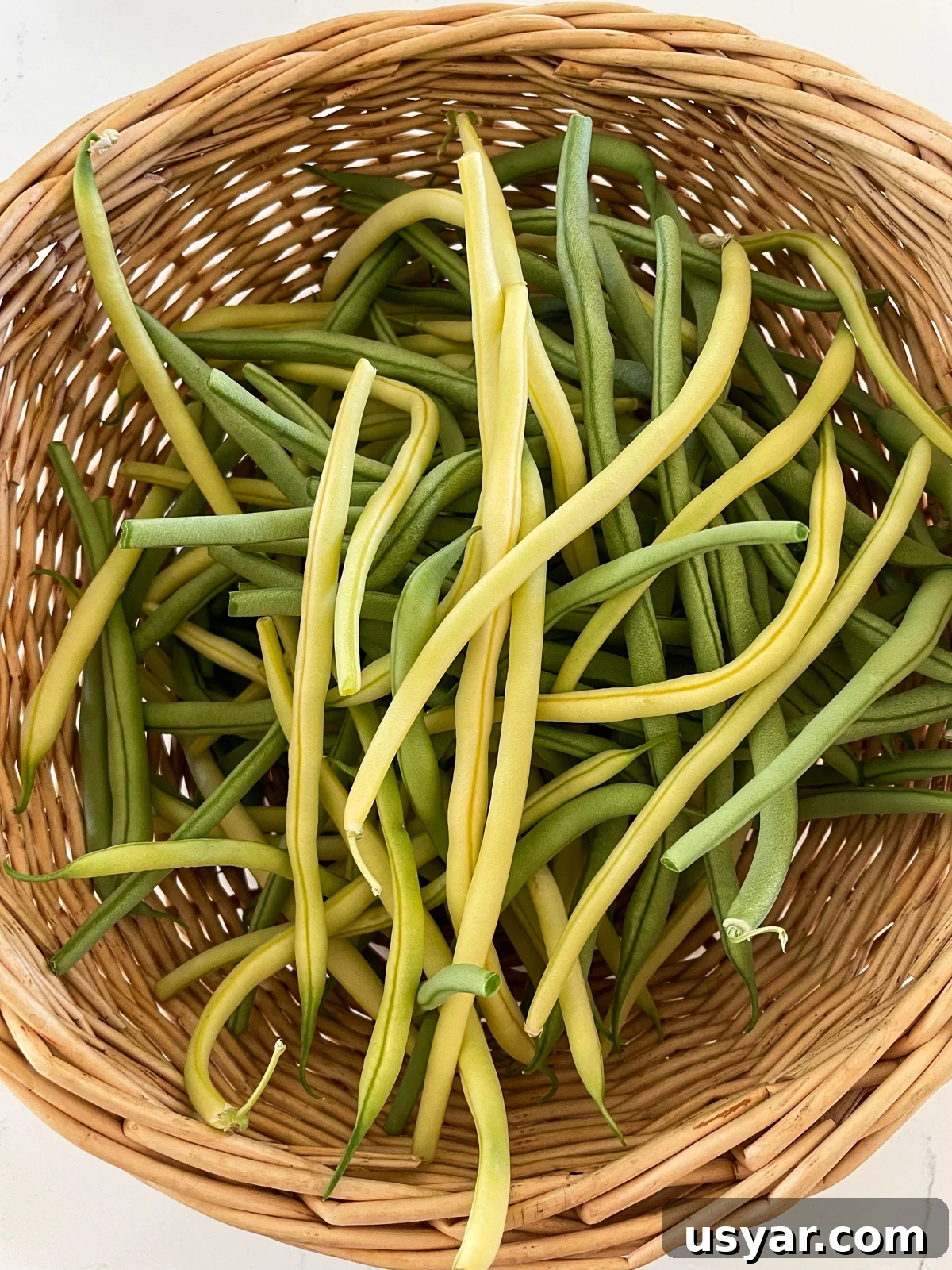 Filet-Style Pole Beans: Why Pole Beans Outperform Bush Types 8 basket of green and yellow pole beans