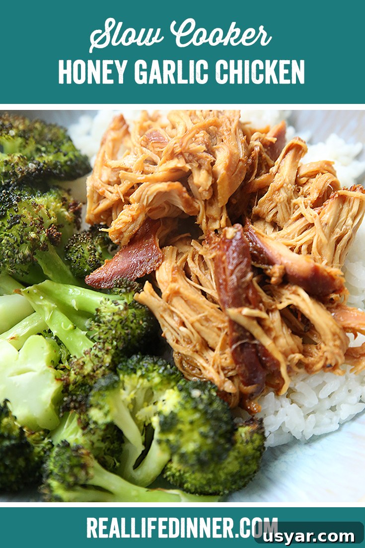 Slow Cooker Honey Garlic Chicken Recipe 13 Pinterest picture with the text of the title of the recipe at the top.