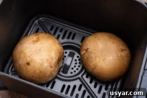 Two large mushrooms in an air fryer tray