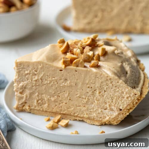 Creamy Banana Pudding Recipe with Sour Cream 11 slice of creamy old fashioned peanut butter pie on a white plate, topped with chopped peanuts.