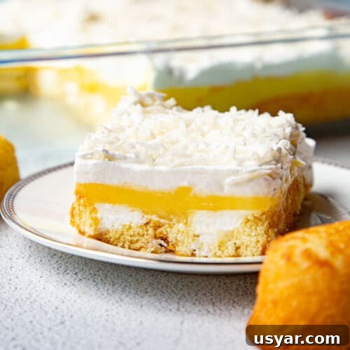 Creamy Banana Pudding Recipe with Sour Cream 13 slice of twinkie cake on a white plate, next to a whole twinkie.