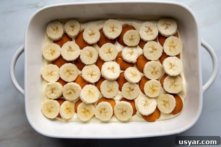 Creamy Banana Pudding Recipe with Sour Cream 7 the first layer of pudding, cookies and bananas in a baking dish.