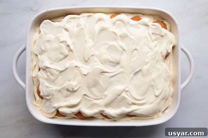 Creamy Banana Pudding Recipe with Sour Cream 8 whipped topping spread all over the top of no cook banana pudding in a white baking dish.