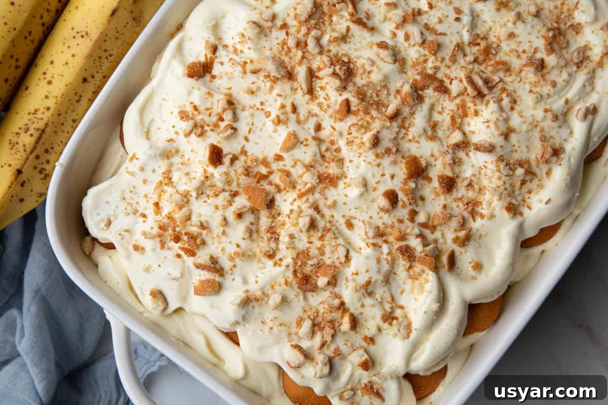 Creamy Banana Pudding Recipe with Sour Cream 9 the top of sour cream banana pudding in a white baking dish next to bananas.