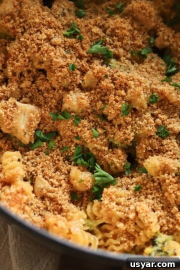 Chicken broccoli pasta with crispy topping.