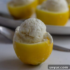 Creamy Frozen Skyr Dessert 3 Frozen Skyr recipe