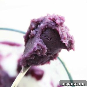Vegan Purple Sweet Potato Steamed Buns Recipe 6 filling - purple sweet potato paste
