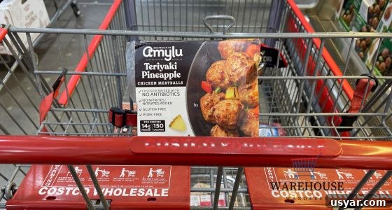 Must-Try Costco Food Picks for 2024 3 img 2172 2