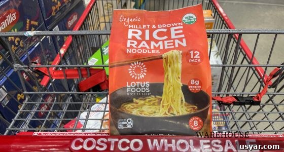 Must-Try Costco Food Picks for 2024 4 img 2172 3