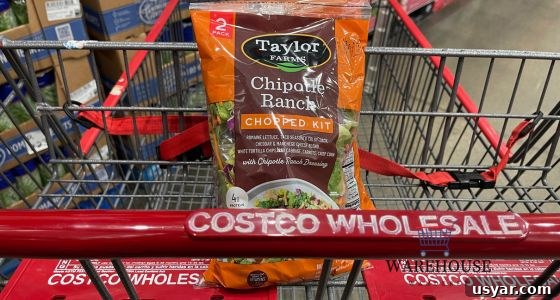 Must-Try Costco Food Picks for 2024 10 img 2172 9