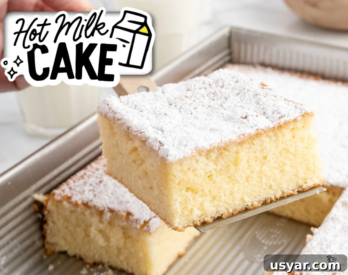 Vintage Hot Milk Cake Recipe 2 Hot milk cake slice being lifted from the pan, showing a light, fluffy texture and powdered sugar topping, with a glass of milk in the background.