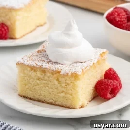 Vintage Hot Milk Cake Recipe 11 Hot milk cake slice with powdered sugar and whipped cream for the recipe card header image.