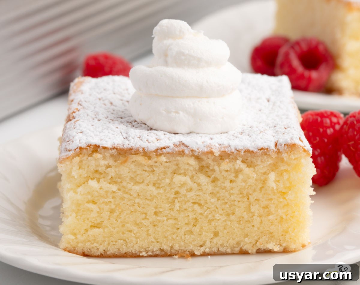 Vintage Hot Milk Cake Recipe 8 Slice of hot milk cake topped with powdered sugar and a dollop of whipped cream, served on a white plate with fresh raspberries.