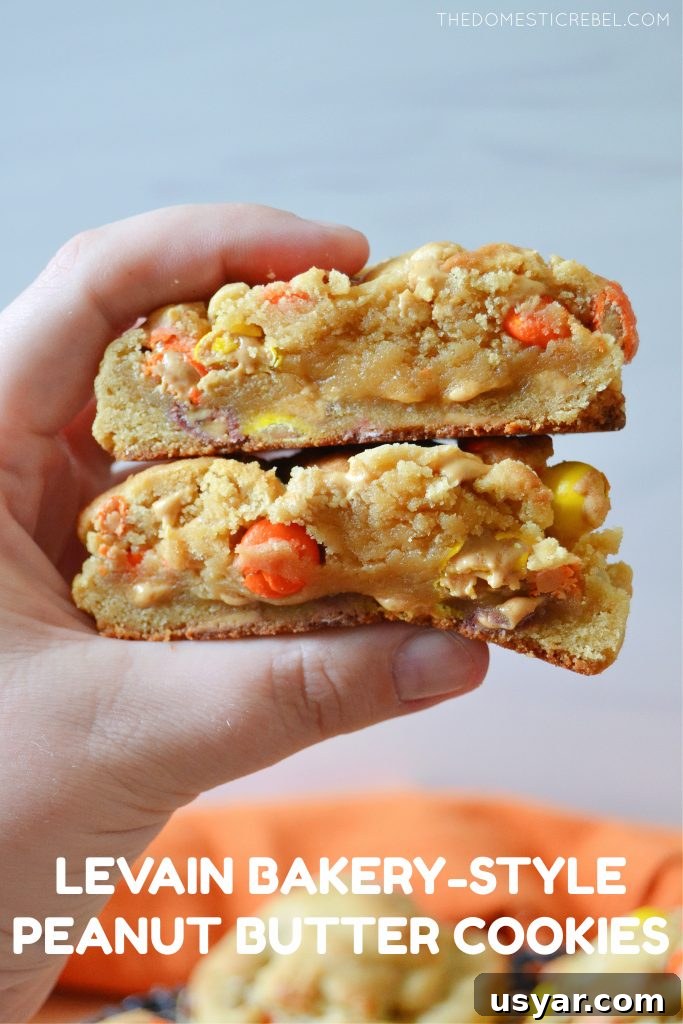 author's hand holding a split open levain bakery-style peanut butter cookie