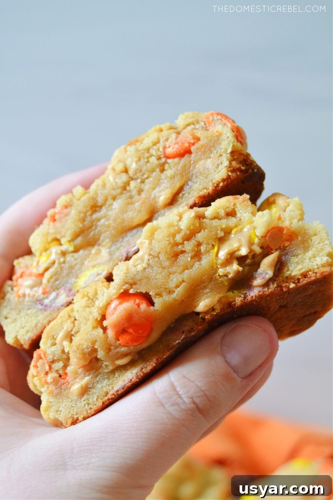 a closeup of the author holding a split open peanut butter cookie