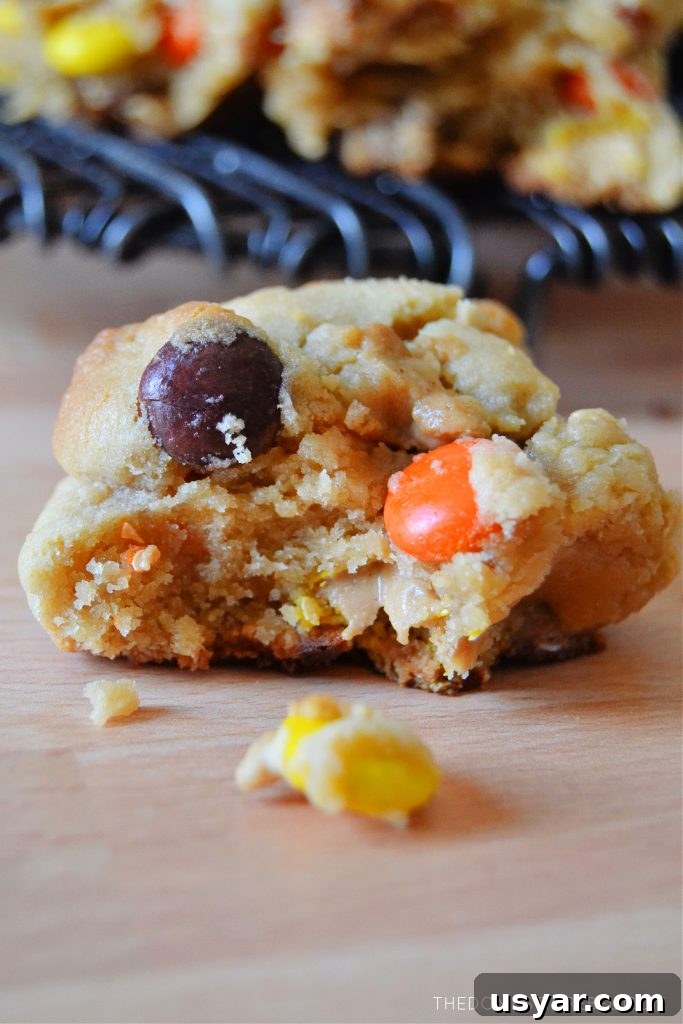closeup of a piece of levain style peanut butter cookie