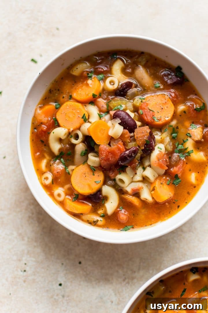 Instant Pot Pasta e Fagioli Recipe: Hearty Italian Soup 2 close-up of Instant Pot classic Italian pasta and bean soup (pasta e fagioli) in a white bowl