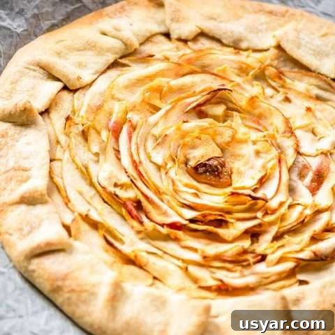 This apple galette is a great dessert. An easy rustic French apple tart recipe done in no time.