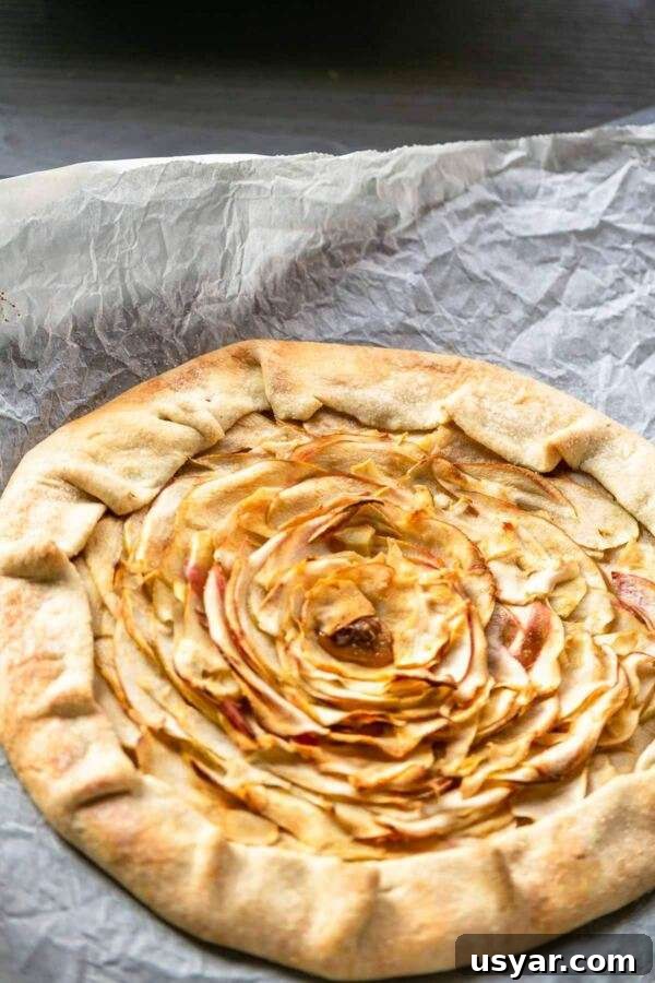 How to Make a Rustic French Apple Galette 7 This apple galette is a great dessert. An easy rustic French apple tart recipe is done in no time. A crusty crust with a plum apple keeps you coming back for more. You can make this recipe with your favorite fruit add some ice cream, caramel sauce, whipped cream to make it taste even better.