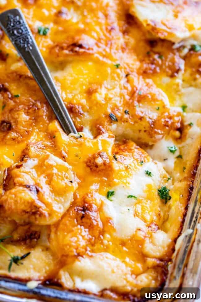cheesy scalloped potatoes in a pan, shot from overhead with a spoon