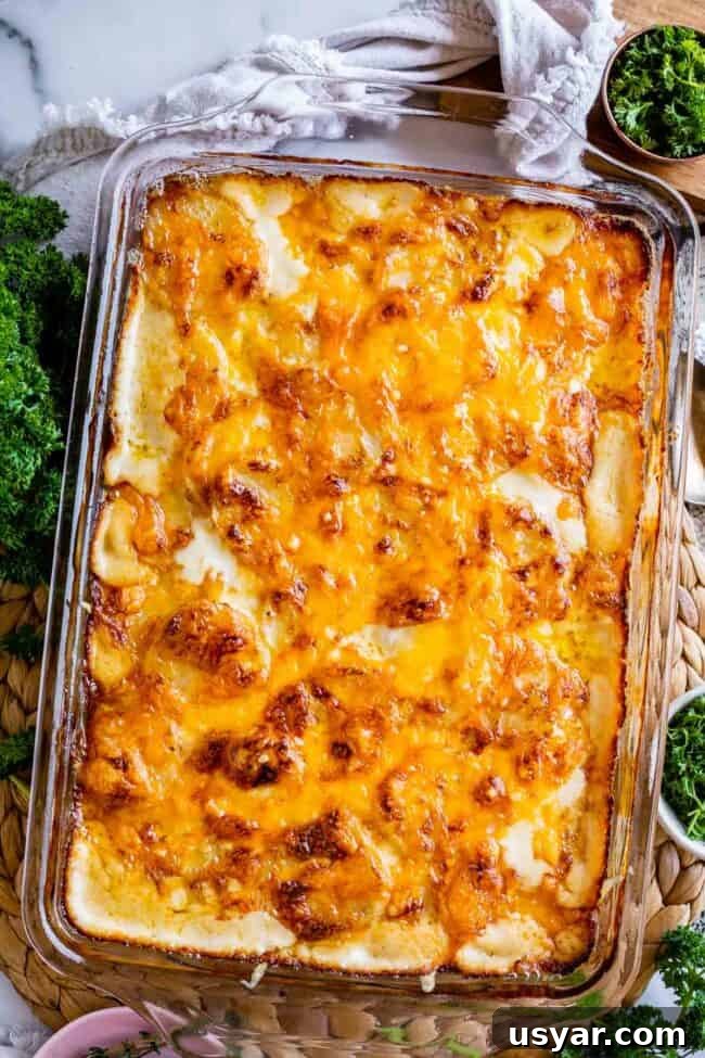 cheesy scalloped potatoes in a glass casserole dish with a tan napkin and parsley