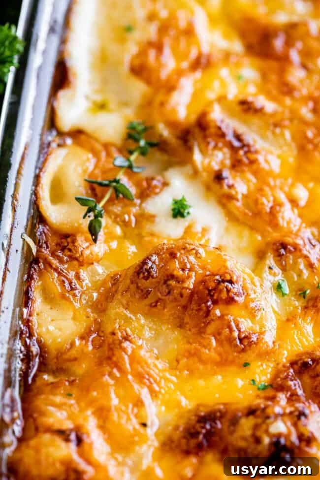 cheesy scalloped potatoes recipe in a pan topped with thyme