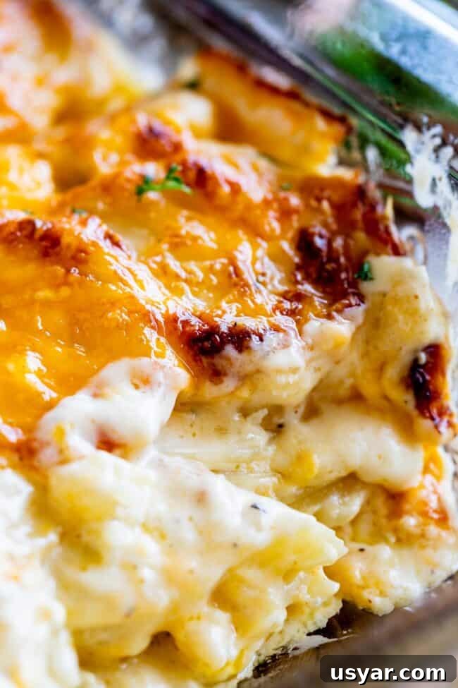 super creamy scalloped potatoes in a baking dish