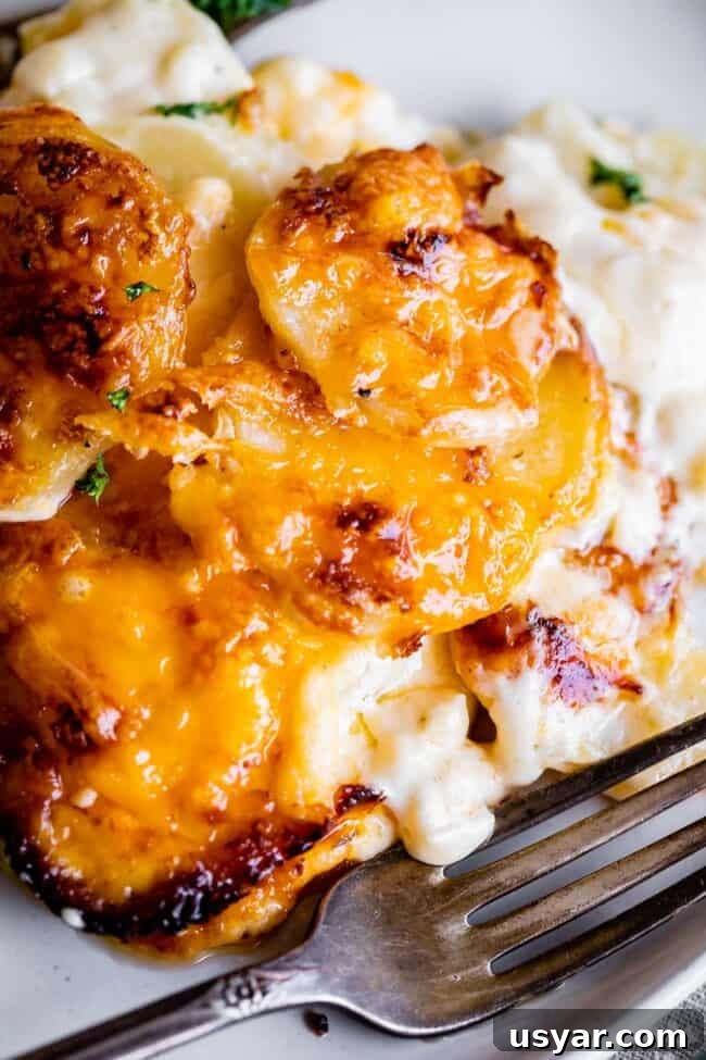 scalloped potatoes with cheese on a plate with a fork
