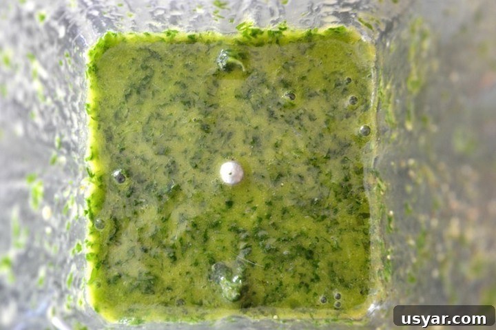 Zesty Cilantro Lime Vinaigrette Recipe 4 cilantro lime vinaigrette being blended in blender