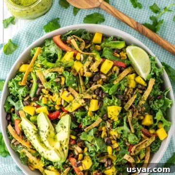 Zesty Cilantro Lime Vinaigrette Recipe 6 overhead shot of mango quinoa salad in bowl with cilantro lime vinaigrette