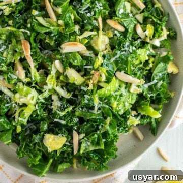 Zesty Cilantro Lime Vinaigrette Recipe 9 Kale crunch salad on plate with fork to the side and bowl of vinaigrette.