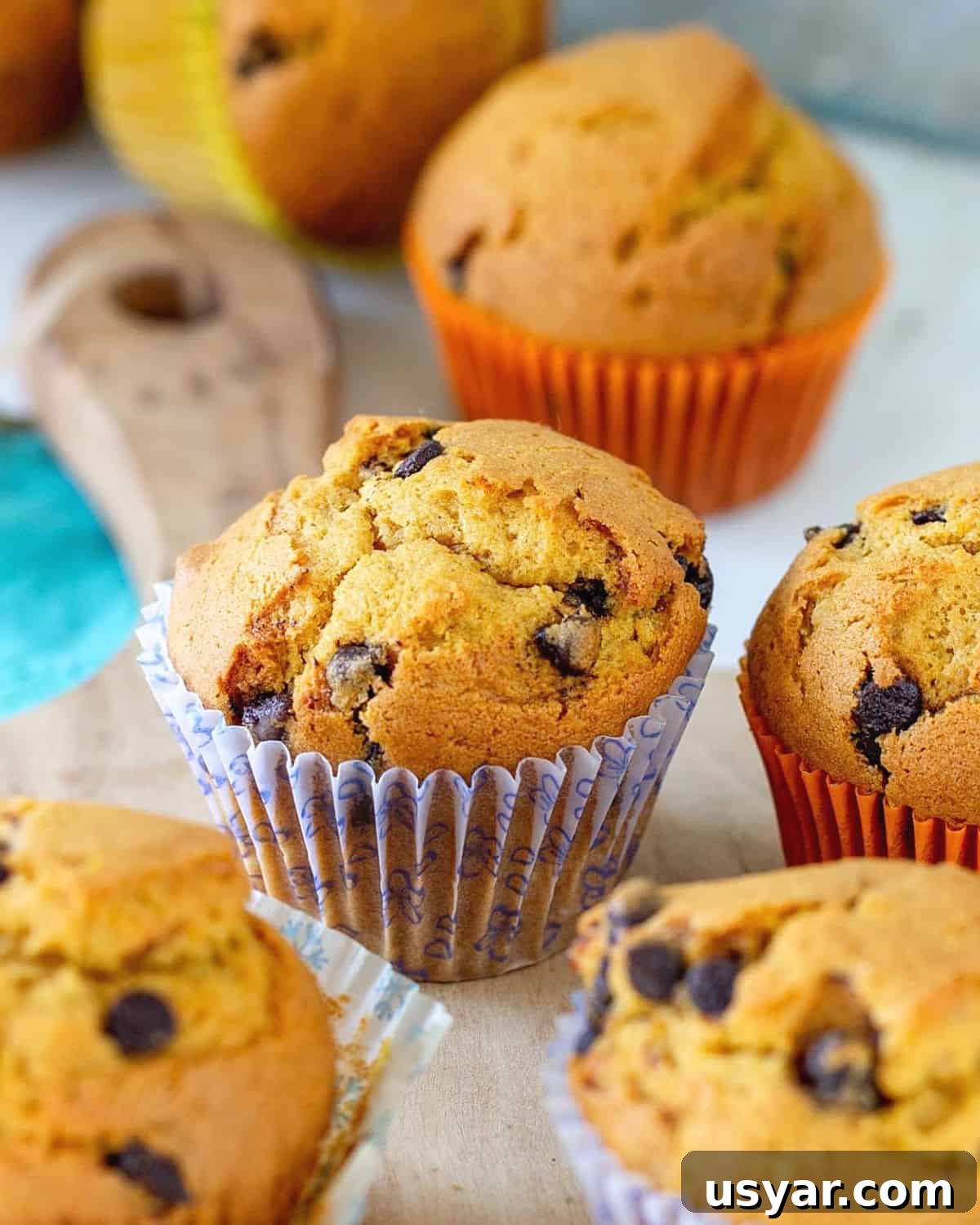 Several chocolate chip pumpkin muffins on a light wooden board, colorful paper cups.