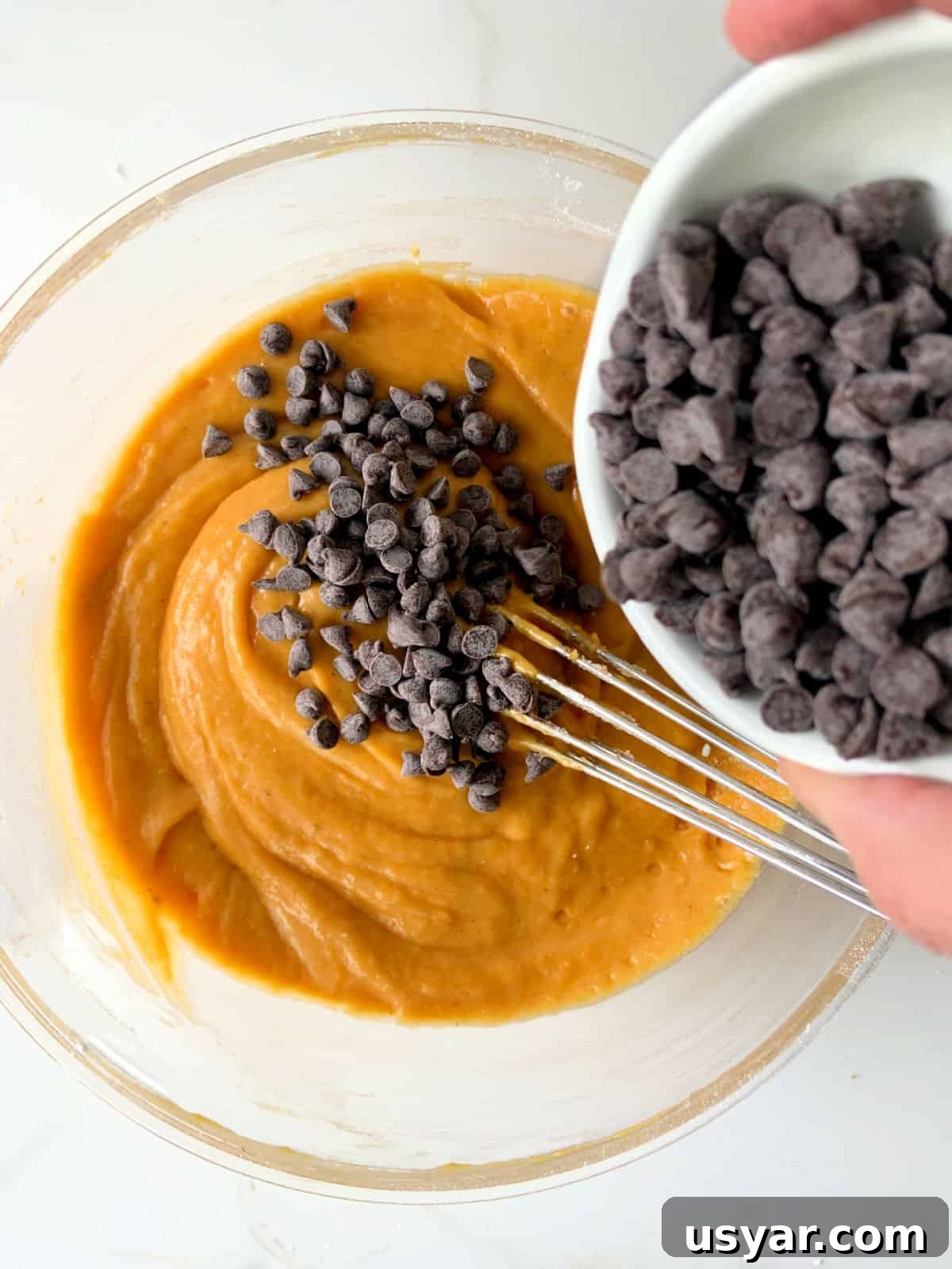 Adding chocolate chips to pumpkin batter in a transparent bowl