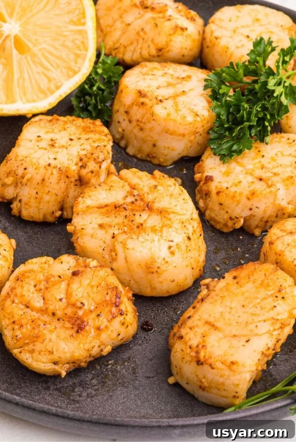 Golden juicy scallops on a dark plate seasoned and served with lemon wedges.