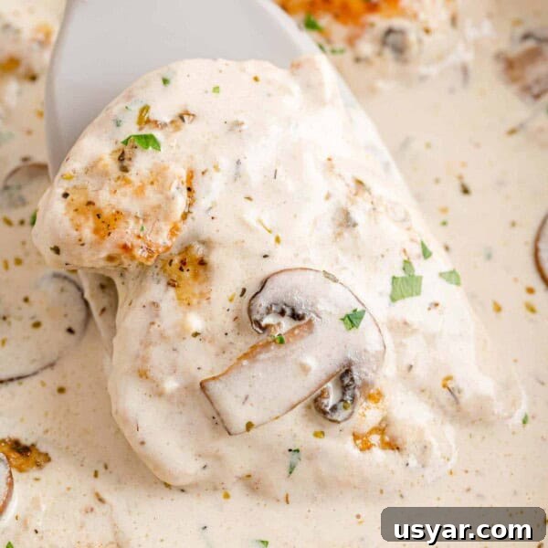 Instant Pot Chicken Marsala in 30 Minutes 6 A spatula lifts a piece of chicken from a skillet of creamy chicken marsala.
