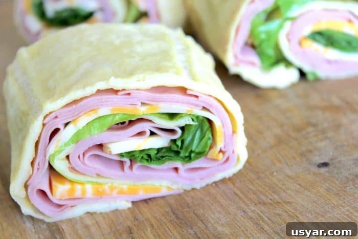 Gluten-Free Sandwich Wrap Bread