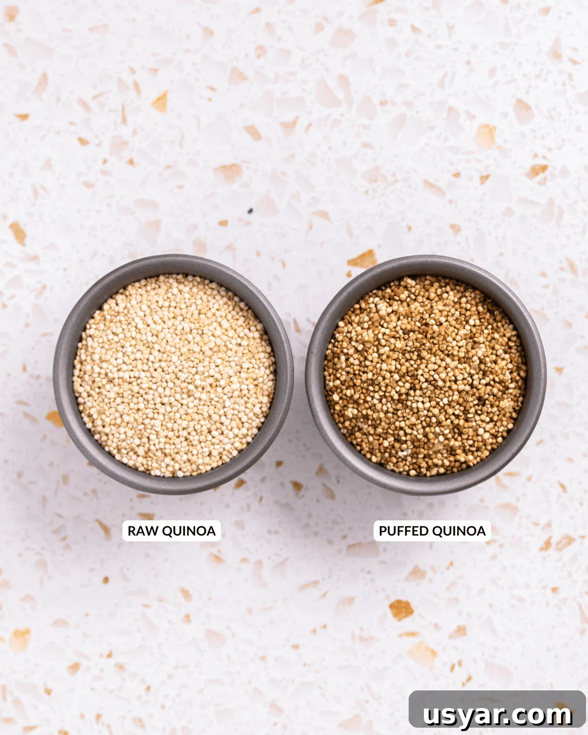 An overhead image of uncooked quinoa and puffed quinoa in separate containers.