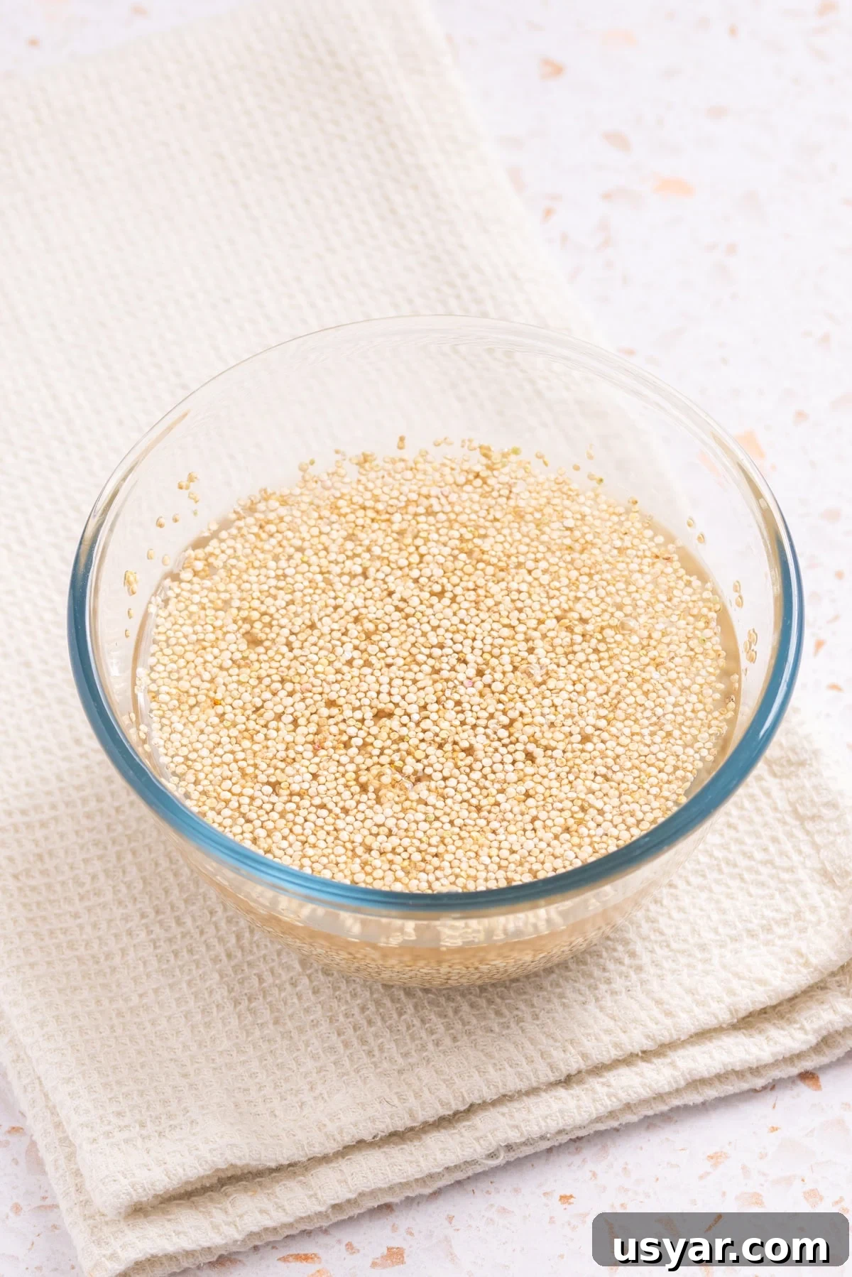 An image or raw quinoa in a bowl with water.