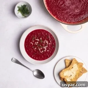 beetroot soup served with toast and fresh dill.
