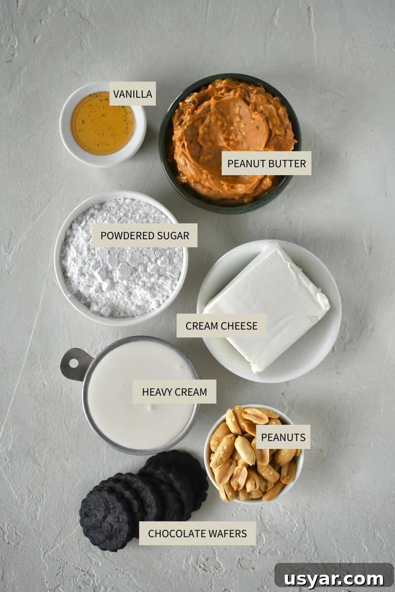 Decadent Peanut Butter Mousse Recipe 3 Ingredients needed to make Peanut Butter Mousse.