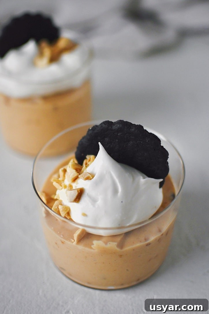 Decadent Peanut Butter Mousse Recipe 7 Peanut Butter Mousse in a small cup, topped with whipped cream, peanuts, and a chocolate wafer.