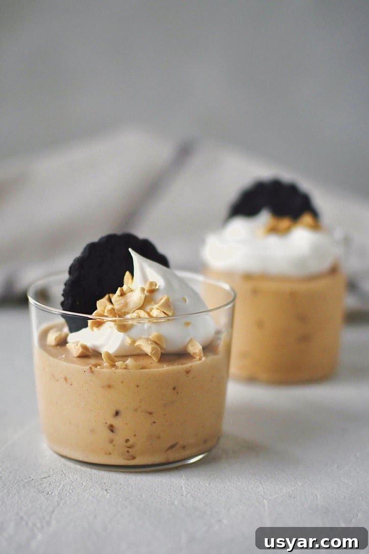 Decadent Peanut Butter Mousse Recipe 9 Peanut Butter Mousse in a small cup, topped with whipped cream, peanuts, and a chocolate wafer.