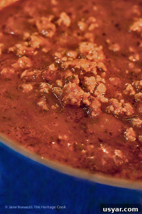 Italian sausage meat sauce; Classic Meat Lasagna © 2017 Jane Bonacci, The Heritage Cook. All rights reserved. 