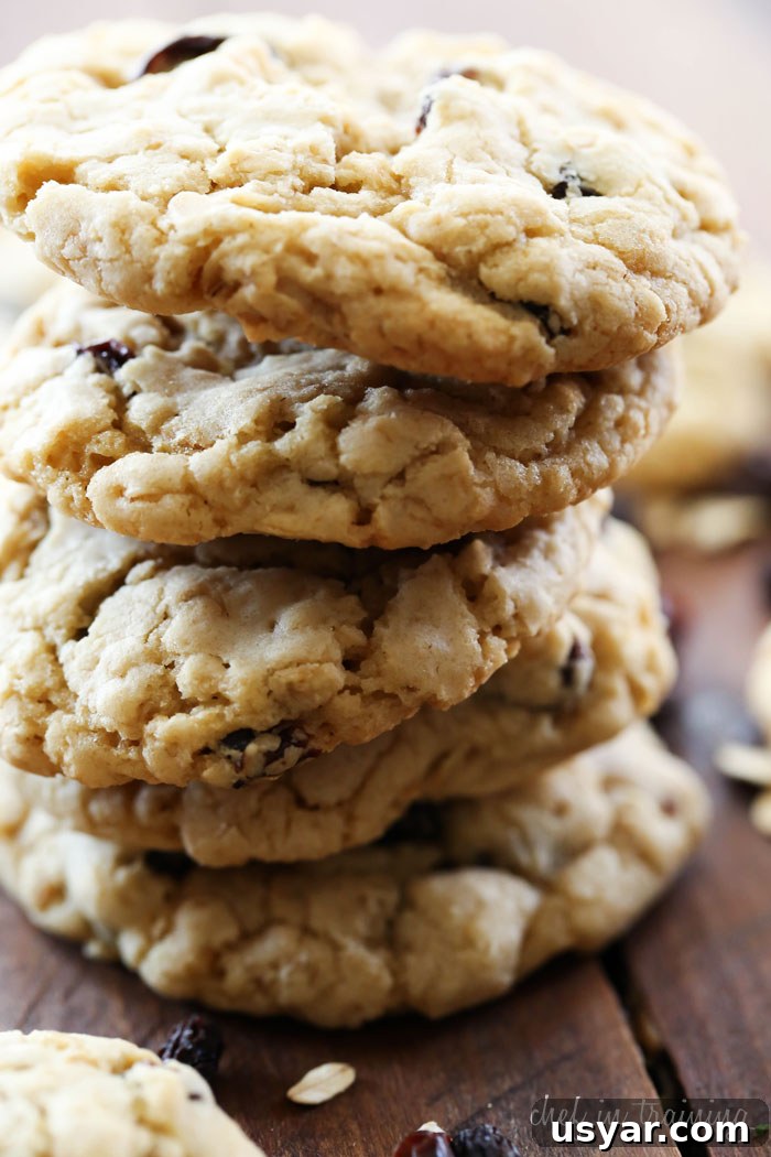 Chewy Oatmeal Raisin Cookies Recipe 3 Oatmeal Raisin Cookies... these cookies are INCREDIBLE! You won't be able to stop at just one!